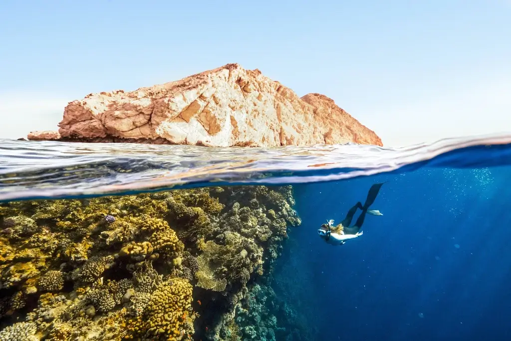 Top 5 Dive Spots You Should Explore This Year
