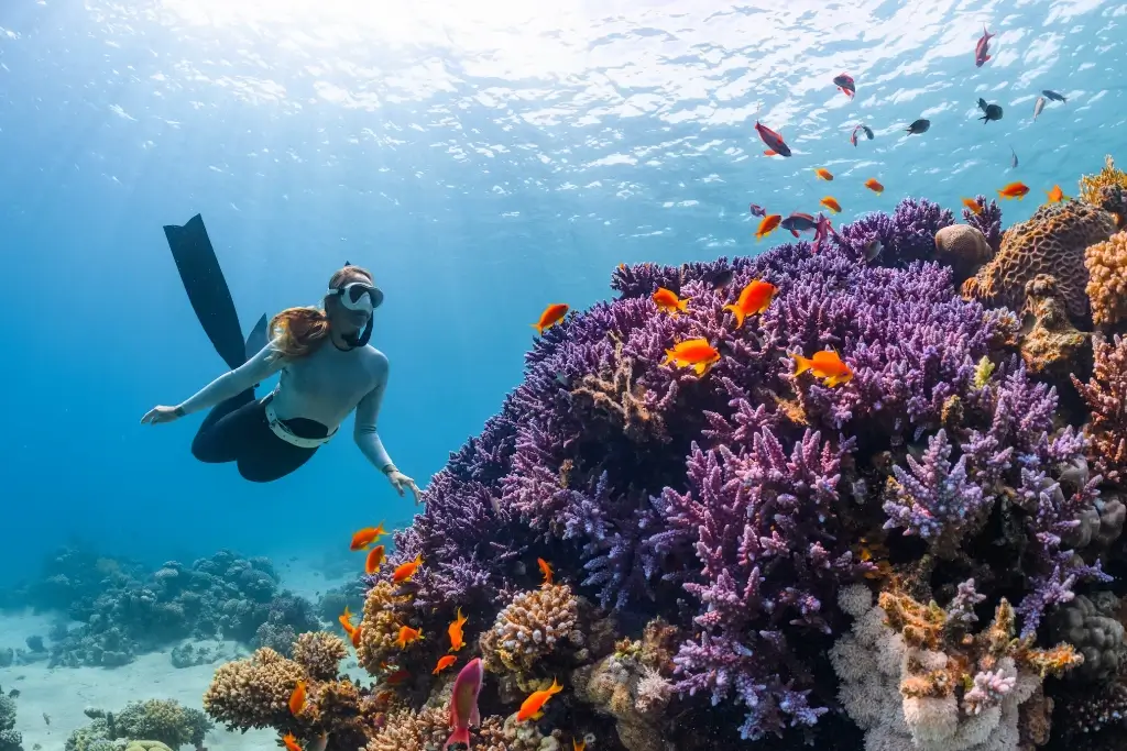 Behind the Scenes: A Day in the Life of a Travel Planner